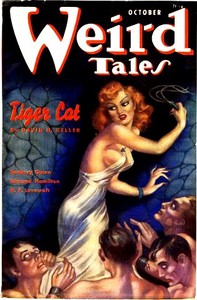 Cover of Tiger Cat — Reading Companion