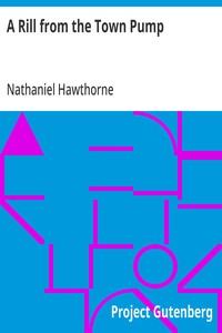 Cover of A Rill from the Town Pump — Text and Context